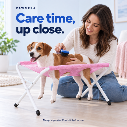 Owner brushing a small dog in the grooming stand — AI usage illustration