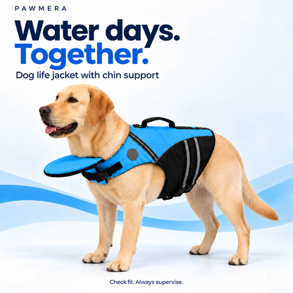 CoveTail dog life jacket by Pawmera — blue
