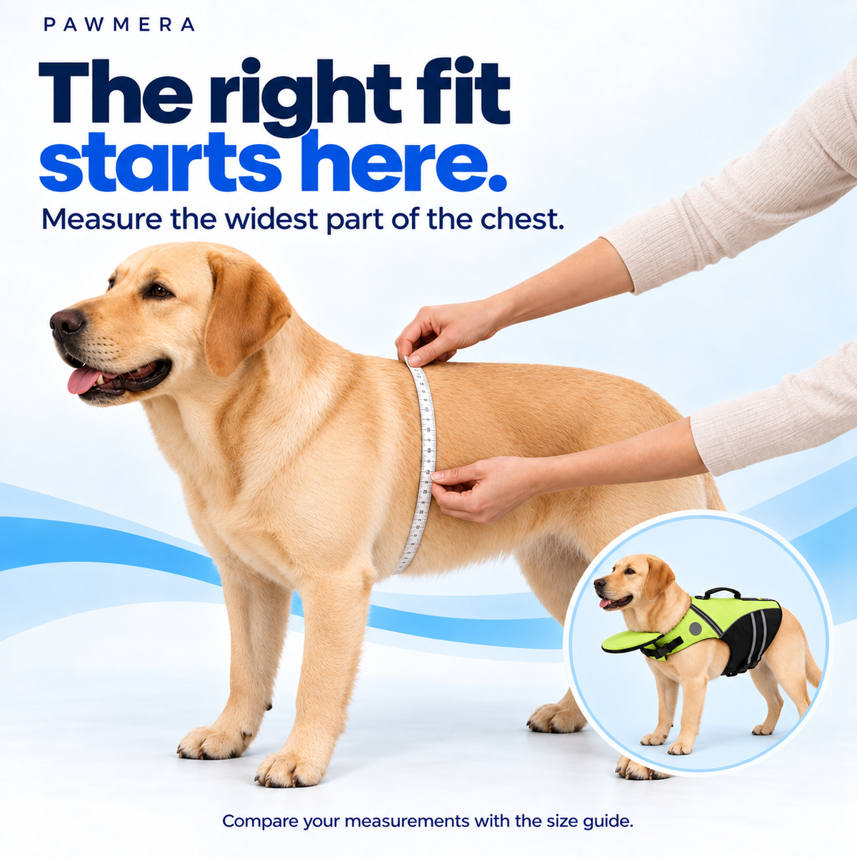 CoveTail dog life jacket by Pawmera — labrador measure