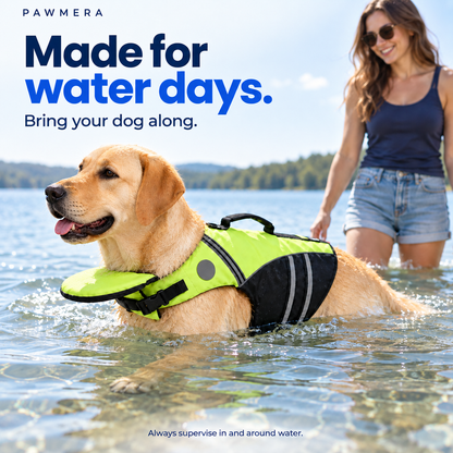 CoveTail dog life jacket by Pawmera — labrador water